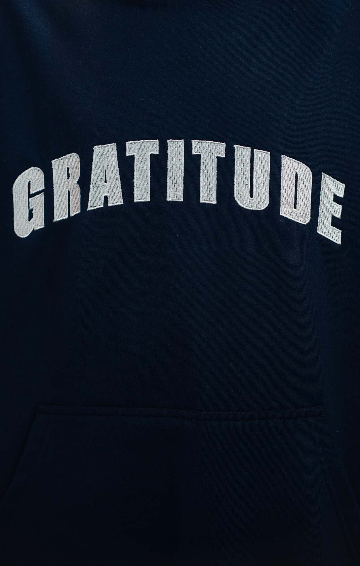 Blue Gratitude Embroidered 2 Color Hoodie